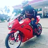 singgobarongg