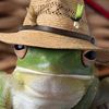 grandpafrog64