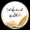 user3980222351648
