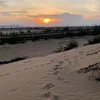 Vũ Văn Hào