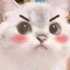 lonercat29