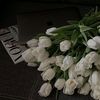 rayan7735
