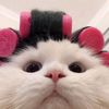 jjnni29