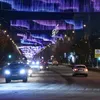 burenka_gospozhi