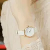 fabihasaleem1