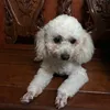 ngaaaaaaaaaaaaaaaaaaaa
