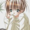 sanekocchi
