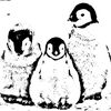 captigapenguin