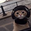 mohammad_s.07