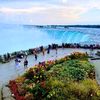 abu_amin9