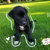 sadgirrl002