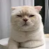 hi_nicetomeetyou_