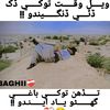 baghii320