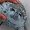 etiquetenammamelmoustruo