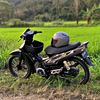 bendang005