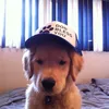 abcgrphc