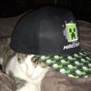 thegreatgamer652