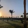 timbotaylor97