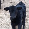 ls_farms