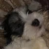 joao9nh