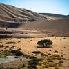 hamdi_515