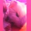 snow_uy1320