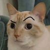 lars_felipe_montecinos_a