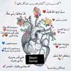 user8784940004398