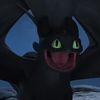 1.toothless_lover.2