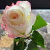 grannyrocks7
