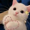 celiney_2
