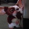 itsmegizmo96