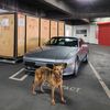 carsbyaidas