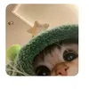 wsp_vetchhuahahaha