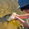 b.g_angler