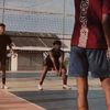 paiq_volly.sekkk