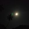 benar0029