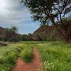 khaled_0048