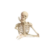 hi1_na