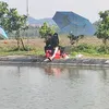 lngtuyn1