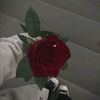 yasmine12732