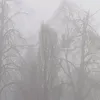 realanoj