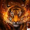 user60714044189