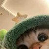 swyty_s