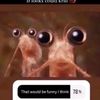 lookscouldkrill