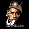 kodakush