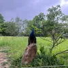 haitrungkim.0802