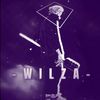 wilza_qx