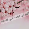 aliand893