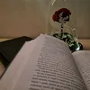 book.teen.writer